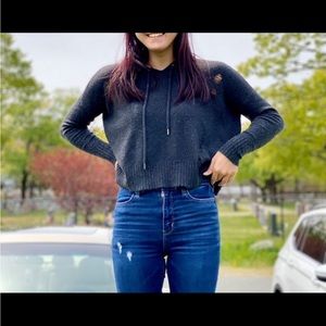 Cropped American Eagle Hooded Sweater top